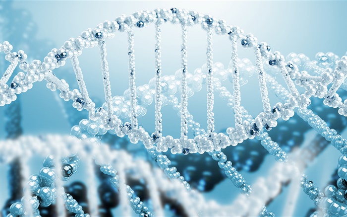La science 3D, ADN spirale Fonds d'écran, image