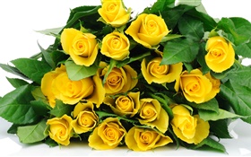 Un jaune bouquet fleurs rose HD Fonds d'écran
