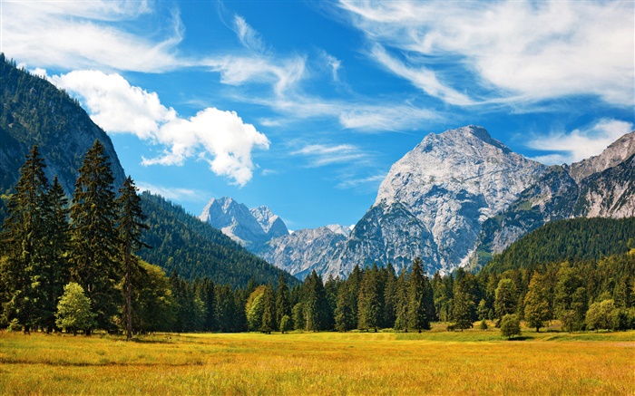 Alpes, automne, ciel bleu, nuages, forêt, herbe Fonds d'écran, image