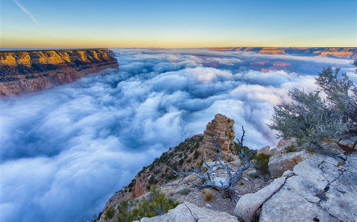 Arizona, États-Unis, Grand Canyon, le matin, le lever du soleil, brouillard, nuages Fonds d'écran, image