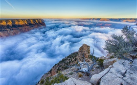 Arizona, États-Unis, Grand Canyon, le matin, le lever du soleil, brouillard, nuages