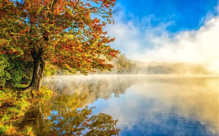 Le paysage d'automne, lac, brouillard, forêt Fonds d'écran, image