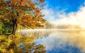 Le paysage d'automne, lac, brouillard, forêt HD Fonds d'écran