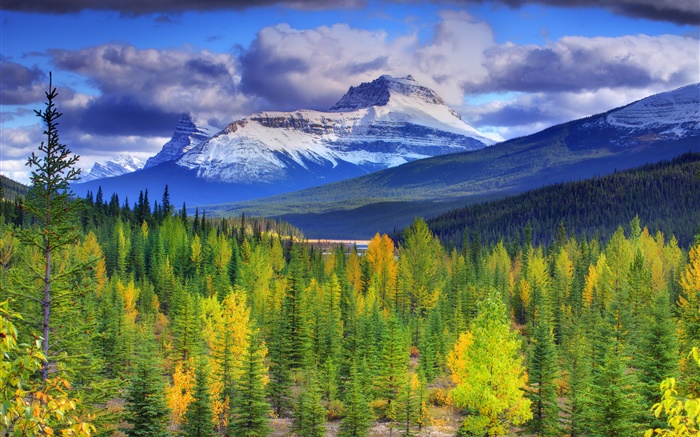 Parc national Banff, Alberta, Canada, montagnes, ciel, forêt, arbres Fonds d'écran, image