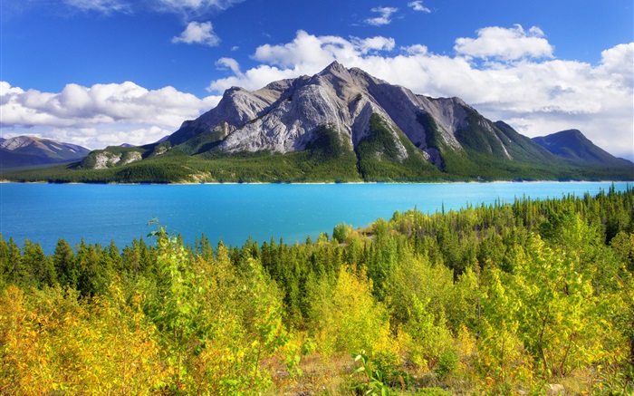 Parc-Banff, Alberta, Canada, Abraham lac, montagne, arbres Fonds d'écran, image