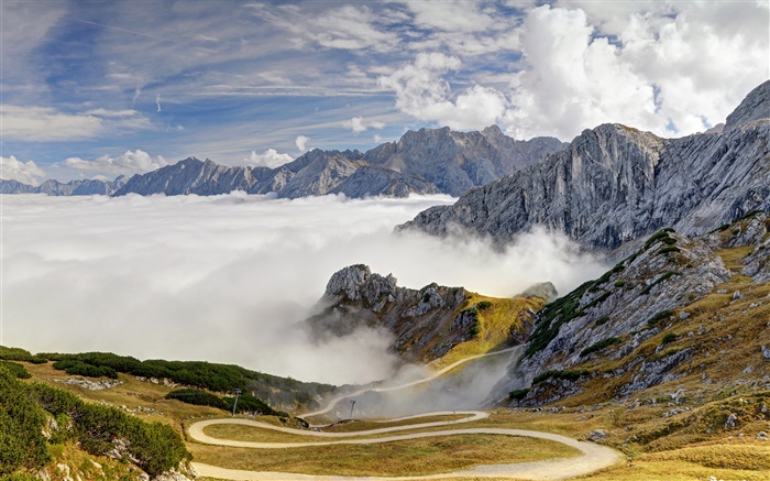 Bavière, Allemagne, Alpes, montagnes, routes, arbres, brouillard Fonds d'écran, image