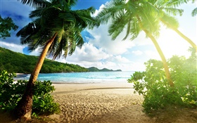Plage paysage, mer, palmiers, ciel, nuages, soleil HD Fonds d'écran