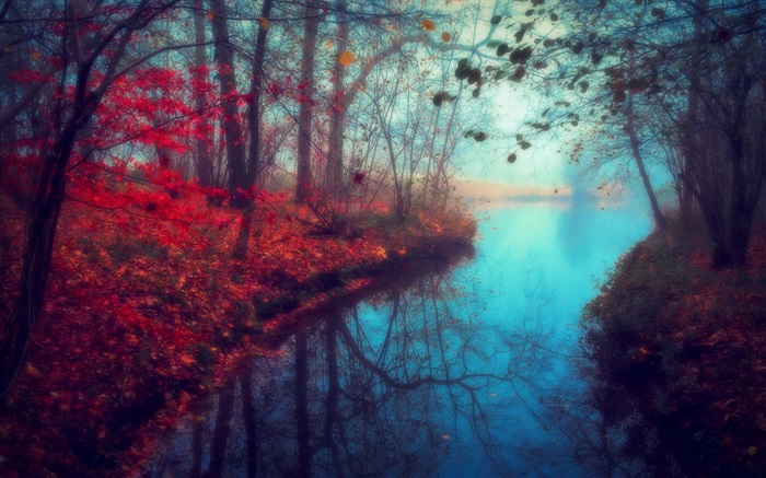 Beau paysage de nature, l'automne, la rivière, les arbres, les feuilles rouges Fonds d'écran, image