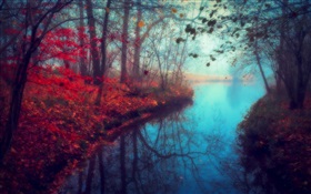 Beau paysage de nature, l'automne, la rivière, les arbres, les feuilles rouges HD Fonds d'écran