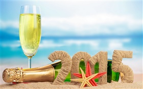 champagne, étoiles de mer, le sable, 2015 HD Fonds d'écran