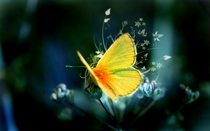 design créatif, papillon jaune Fonds d'écran, image