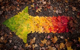 Creative images, feuilles d'automne flèche