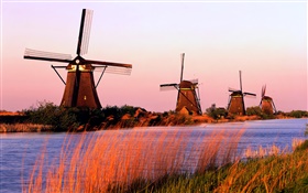 Paysages hollandais, moulins à vent, les rivières, soirée