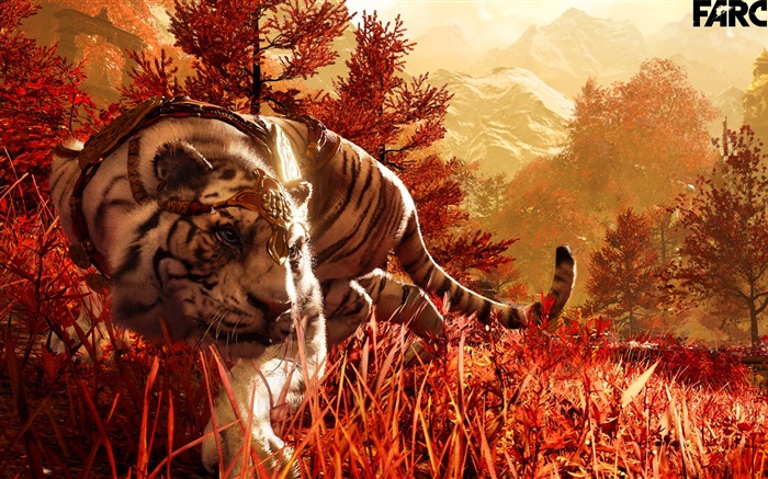Far Cry 4, tigre blanc Fonds d'écran, image