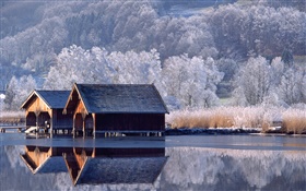 Maisons, rivière, arbres, hiver, Allemagne