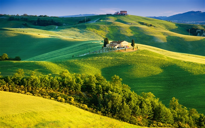 Italie, champs verts, beau paysage Fonds d'écran, image