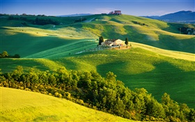 Italie, champs verts, beau paysage HD Fonds d'écran