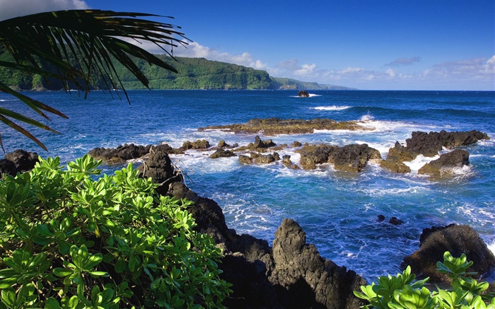 Maui, Hawaii, États-Unis, de la mer Fonds d'écran, image