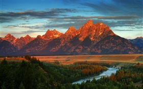 Montagnes, forêt, rivière, automne, Amérique, Wyoming
