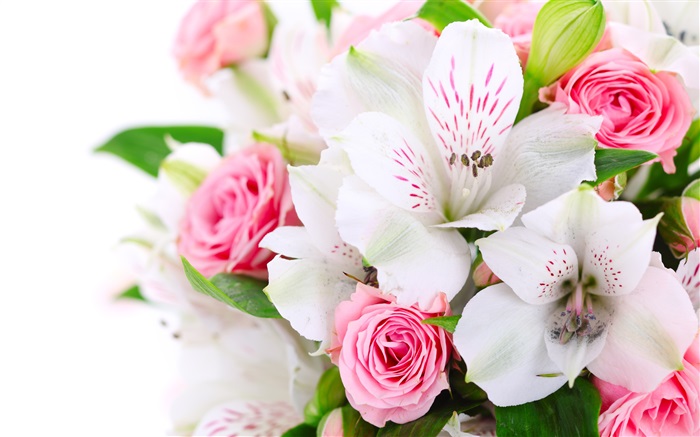 Roses roses, orchidées blanches Fonds d'écran, image