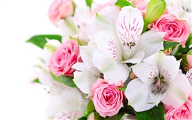 Roses roses, orchidées blanches HD Fonds d'écran