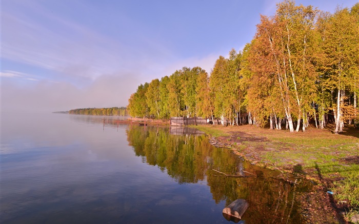 La Russie, le lac Baïkal, arbres Fonds d'écran, image