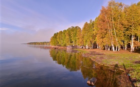 La Russie, le lac Baïkal, arbres