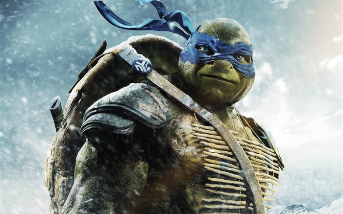 Teenage Mutant Ninja Turtles, Leo Fonds d'écran, image