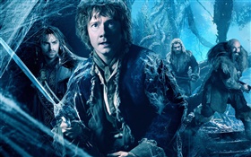 Le Hobbit: La Désolation de Smaug HD Fonds d'écran