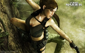 Tomb Raider: Underworld, jeu PC