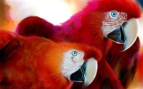 Deux plumes rouges perroquet HD Fonds d'écran