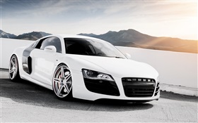 Blanc Audi R8 V10 supercar HD Fonds d'écran