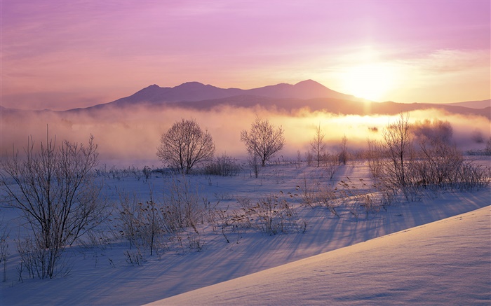 Matin d'hiver, la neige, les arbres, le brouillard, le lever du soleil Fonds d'écran, image