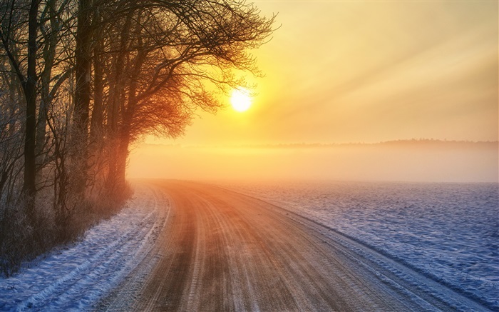 Winter Sunrise, route, brouillard, arbres Fonds d'écran, image