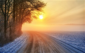 Winter Sunrise, route, brouillard, arbres HD Fonds d'écran