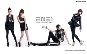 2NE1, les filles de la musique coréenne 03 HD Fonds d'écran