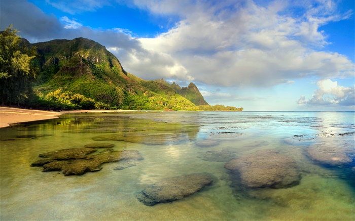 Beach, récif de corail, sous-marin, Kauai, Hawaï Fonds d'écran, image