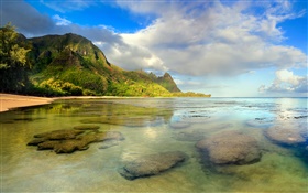 Beach, récif de corail, sous-marin, Kauai, Hawaï