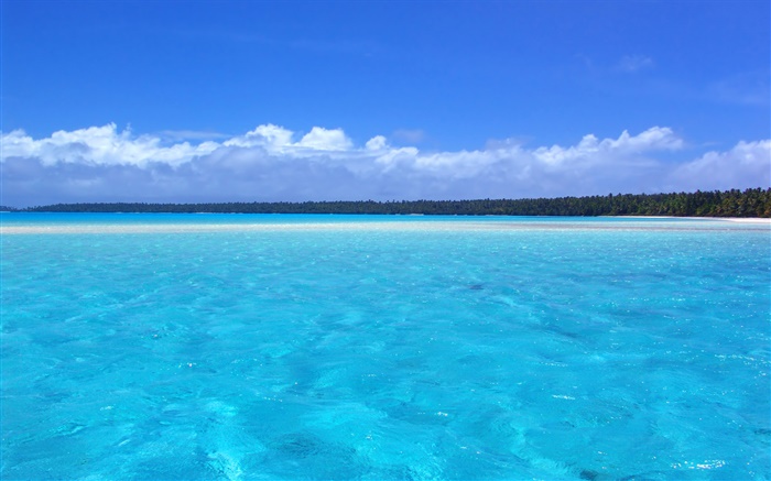 Côte Bleue paysages, des palmiers, la plage Fonds d'écran, image