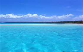 Côte Bleue paysages, des palmiers, la plage HD Fonds d'écran