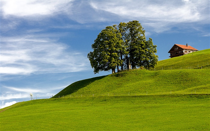 Ciel bleu, herbe, arbre, maison, colline, Einsiedeln, Schwyz, Suisse Fonds d'écran, image