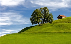 Ciel bleu, herbe, arbre, maison, colline, Einsiedeln, Schwyz, Suisse HD Fonds d'écran