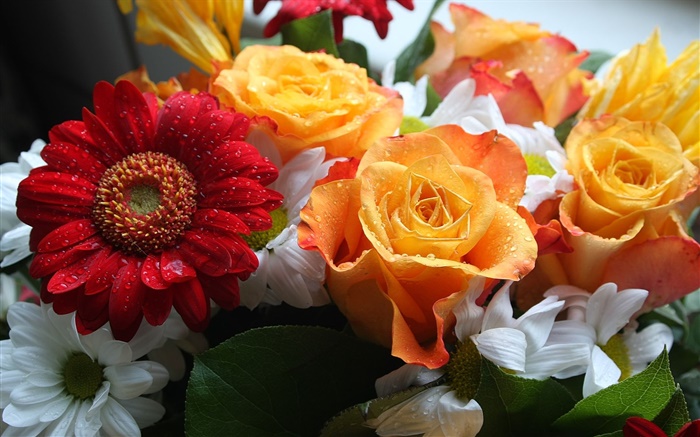 Bouquets, roses et de chrysanthèmes Fonds d'écran, image