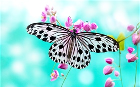 Papillon et fleurs violettes HD Fonds d'écran