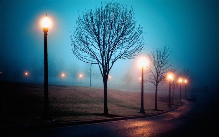 Ville, la nuit, le brouillard, la rue, le parc, les lumières Fonds d'écran, image