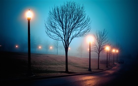 Ville, la nuit, le brouillard, la rue, le parc, les lumières
