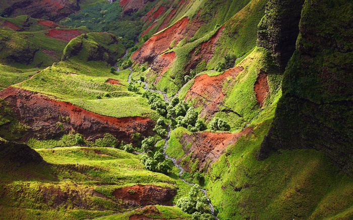 falaises, Kauai, Hawaï Fonds d'écran, image