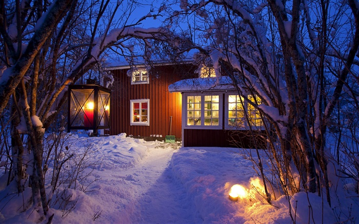 Maison de campagne, les arbres couverts de neige, la Suède, la nuit, les lumières Fonds d'écran, image