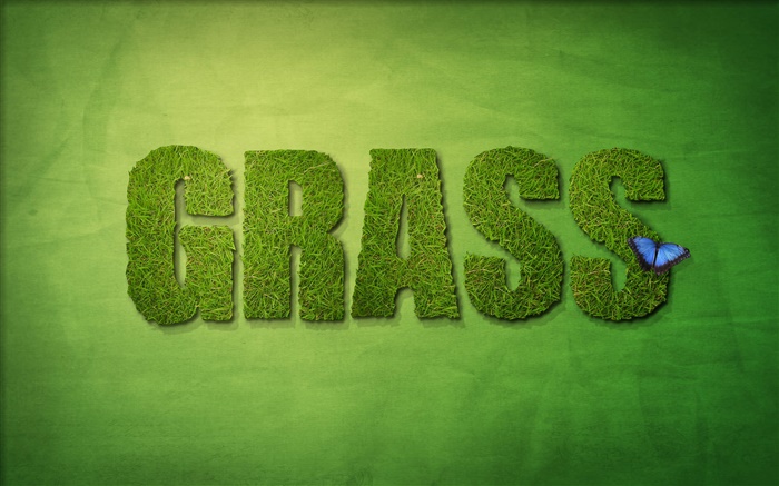 conception créative, l'herbe verte Fonds d'écran, image