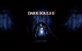 Dark soul 2, la forêt de nuit HD Fonds d'écran